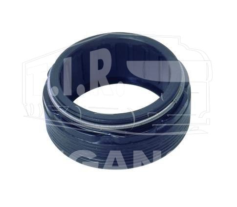SEAL
