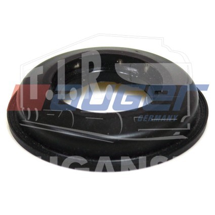 Dust Cover