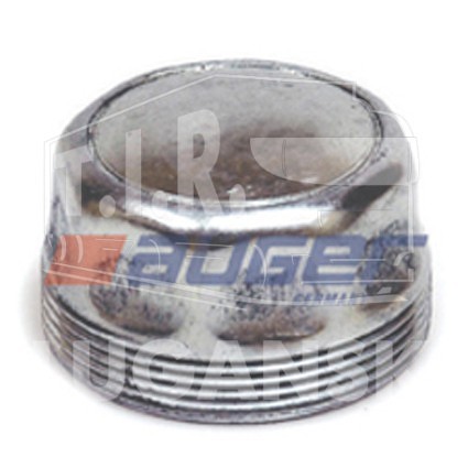 Hub Cap