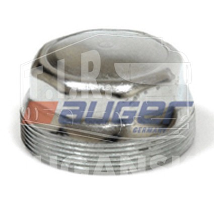 Hub Cap