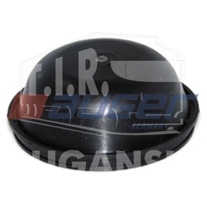 Hub Cap