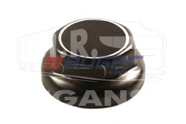 Hub Cap