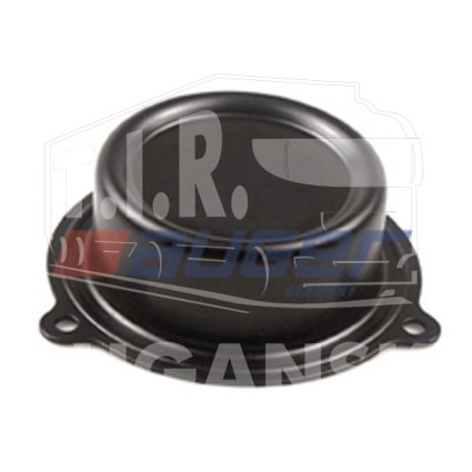 Hub Cap