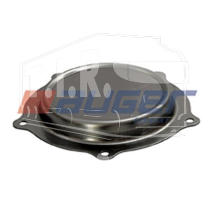 Hub Cap