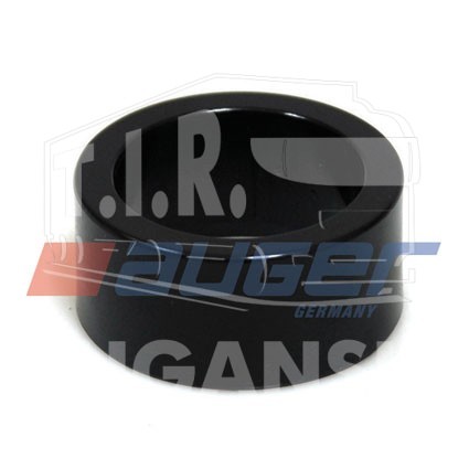 Plastic  Bearing