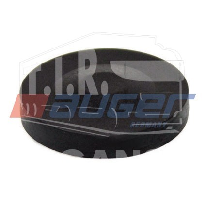 Plastic  Bearing