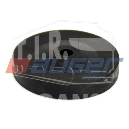 Plastic  Bearing