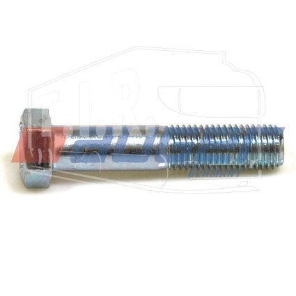 Screw