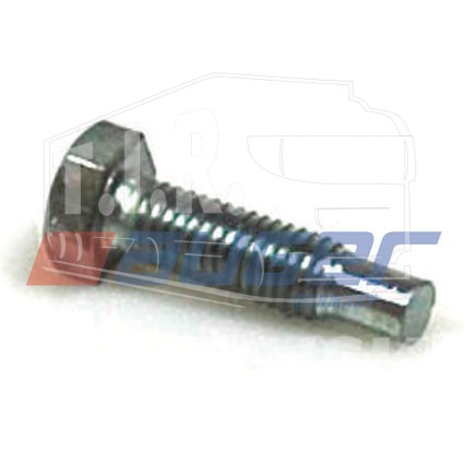 Screw