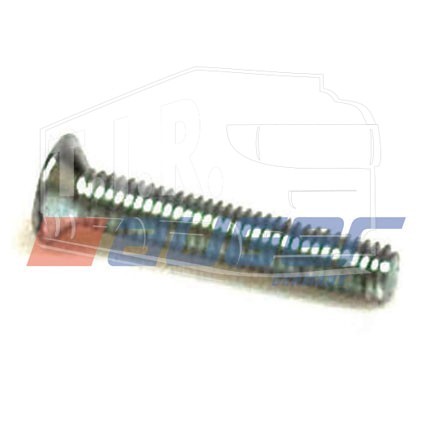 Screw