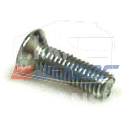 Screw