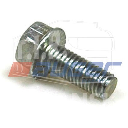 Screw
