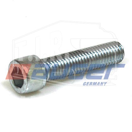 Screw