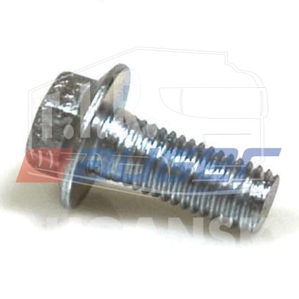 Screw