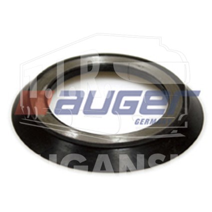 Seal Ring
