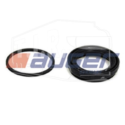 Caliper Rep.Kit