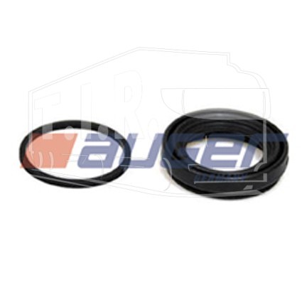 Caliper Rep.Kit