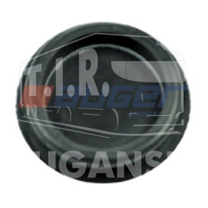 Rubber Plug, Brake Dust Cover