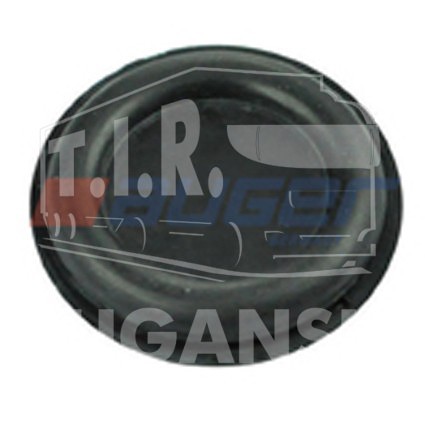Rubber Plug, Brake Dust Cover