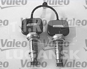 Личинка замка двери