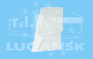 Защита фар лев