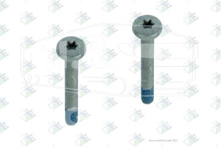 Винты торекс М6*45