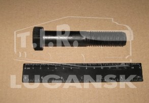 Болт амортизатора М20*2.5*110 (8.8)