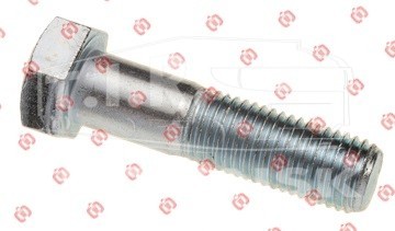 Болт М20*2,5*80
