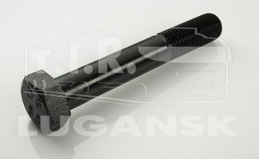 Болт амортизатора М24*3*300