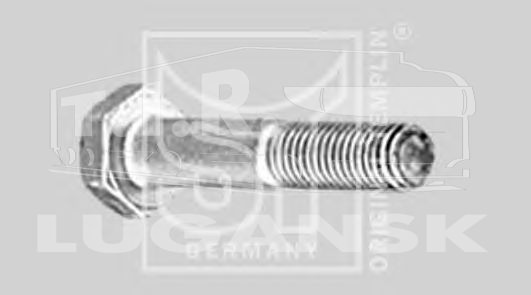 Болт М10*1.5*55
