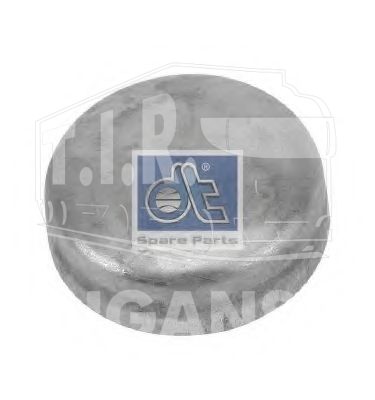 Expansion plug