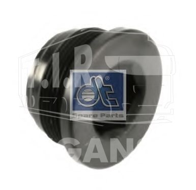 Magnetic plug