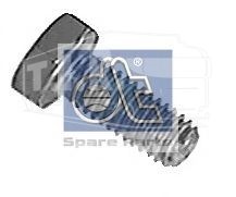 Screw