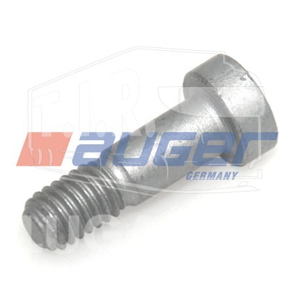 Болт суппорта М6*1*20