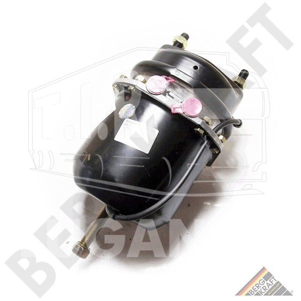 Энергоаккумулятор (дисковый тормоз) Type:24/24