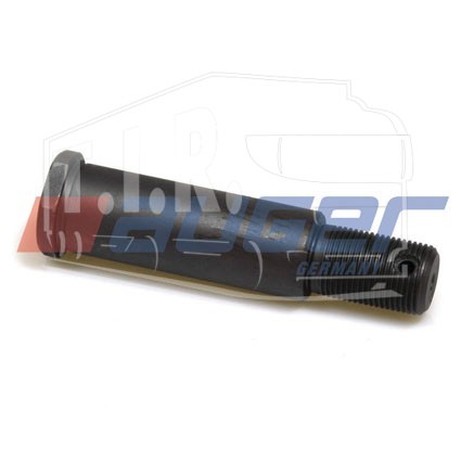 Болт крепления стабилизатора М20*1.5*D=25mm/L=110
