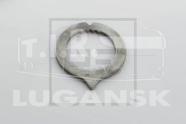 Пластина индикаторная на трещотку