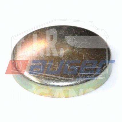 Крышка шкворня