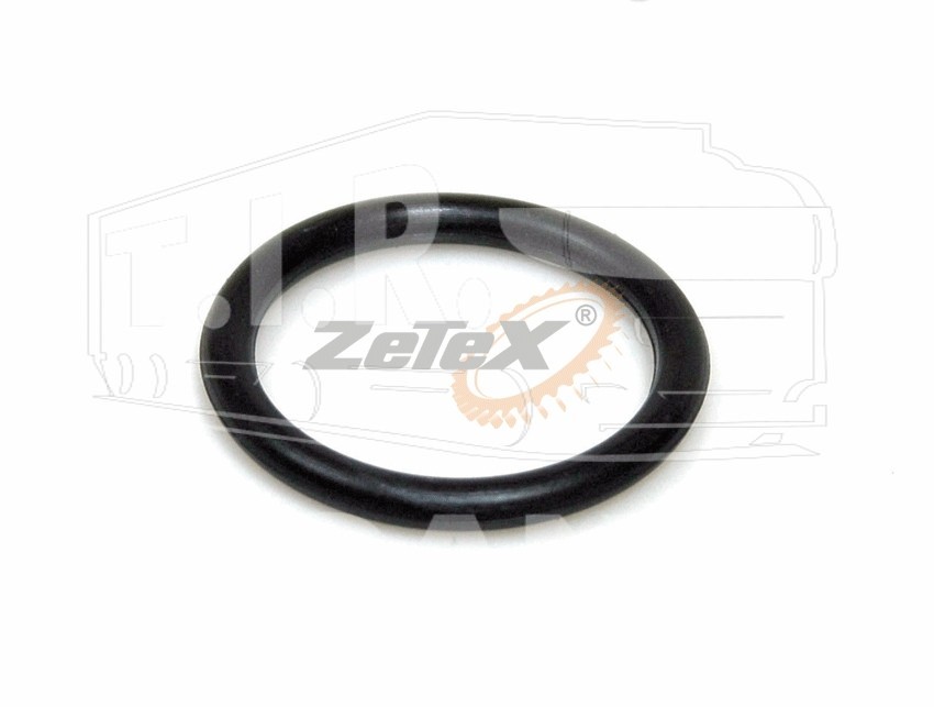 O-RING