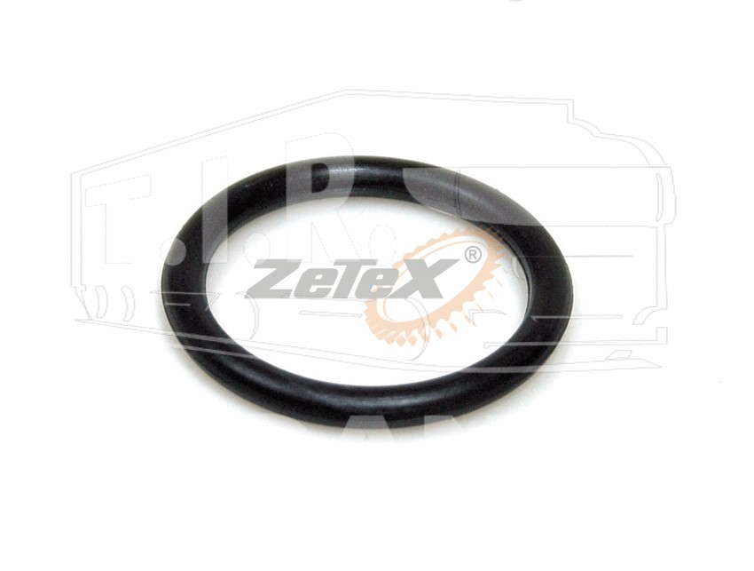 O-RING