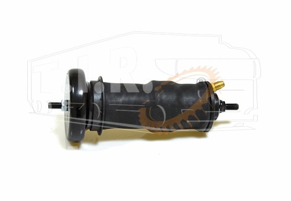 SHOCK ABSORBER, W?TH A?R BELLOW,CAB