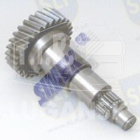 SHAFT WITH GEARS