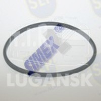 SEALING RING