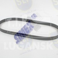 DRIVE BELT