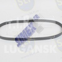 DRIVE BELT