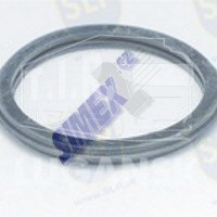THERMOSTAT SEAL