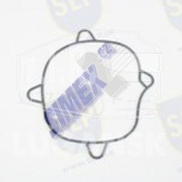 SEALING RING