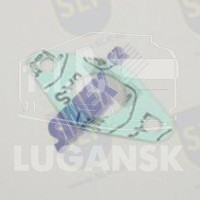 GASKET