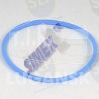SEAL RING