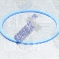 FREEZE PLUG GASKET